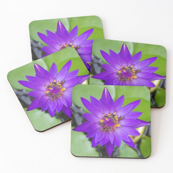 Item preview, Bees Pollinating a Waterlily in Bangkok Thailand designed and sold by The Botanical Jason.