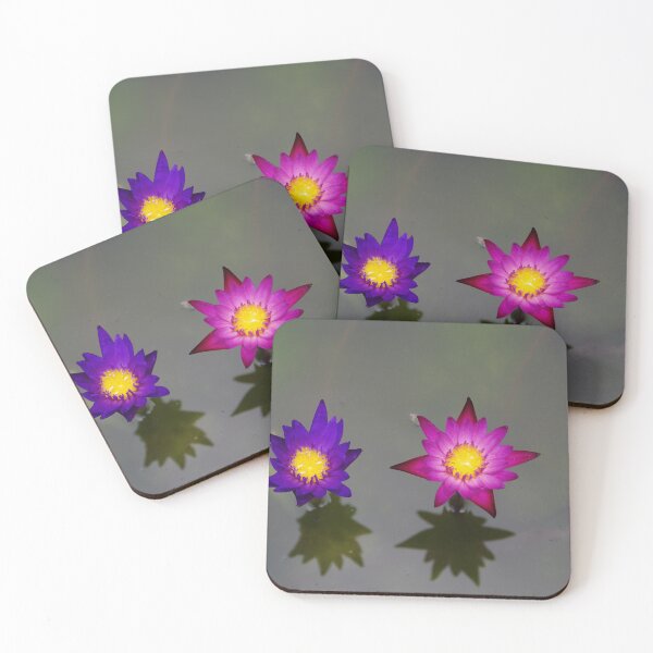 Item preview, Purple and Pink Water Lily Flowers in Bangkok Thailand designed and sold by The Botanical Jason.