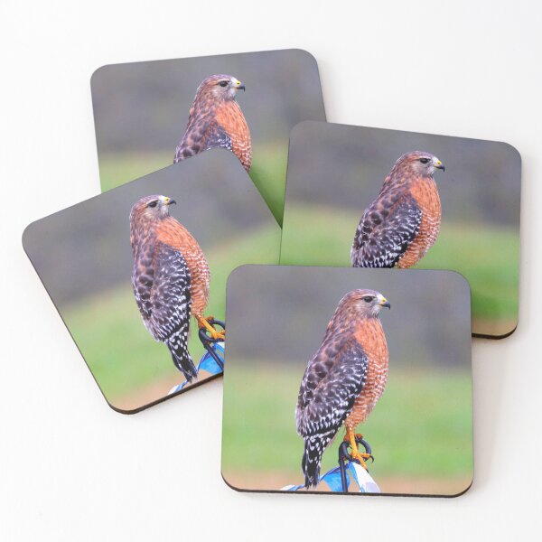 Item preview, Hunting designed and sold by Parks and X.