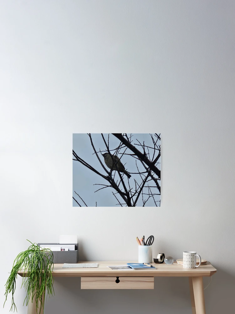 Thumbnail 2 of 3, Poster, Bird In A Tree designed and sold by SMILE by Kira.