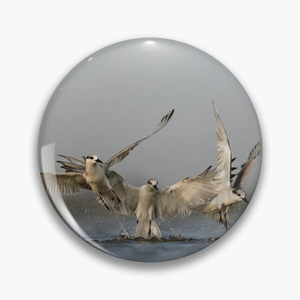 Item preview, Whisker Terns Dive: A dive together designed and sold by abhibagaria.