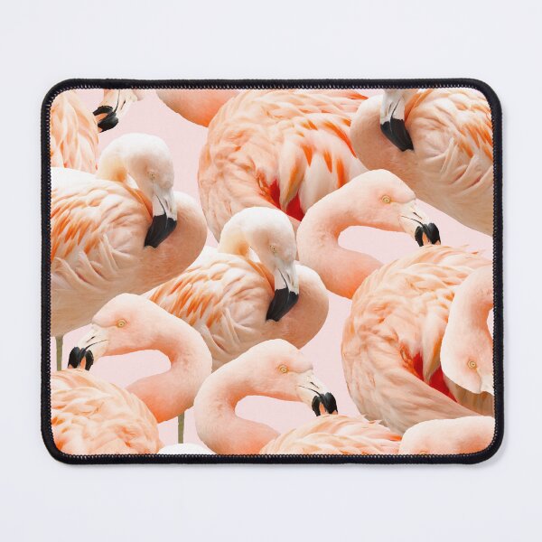 Item preview, Flamingo Blush #redbubble #decor #buyart #flamingoart designed and sold by 83oranges.com.