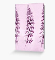 Lupin Trio Greeting Card