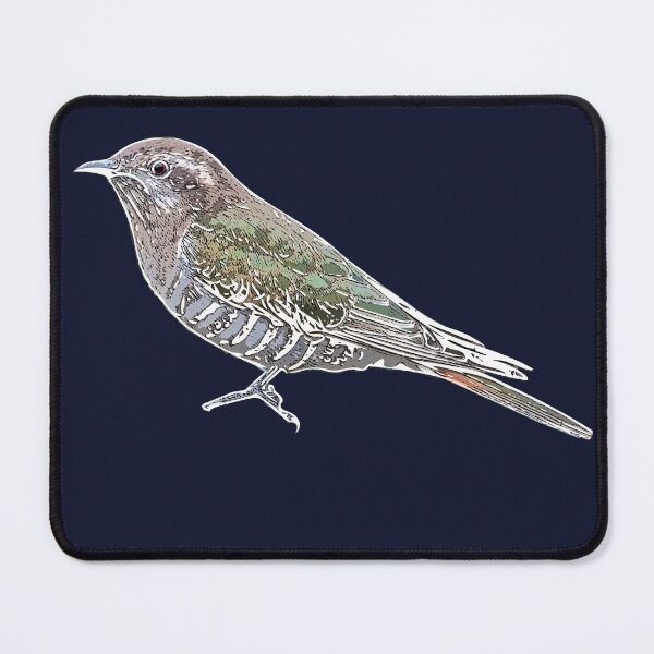 Item preview, Horsfield's Bronze-Cuckoo White Alternate Design designed and sold by designsasstultd.