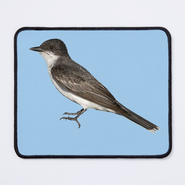 Item preview, Eastern Kingbird Color Design designed and sold by designsasstultd.