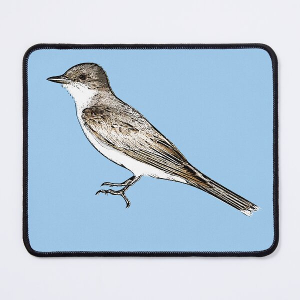 Item preview, Eastern Kingbird Black Alternate Design  designed and sold by designsasstultd.