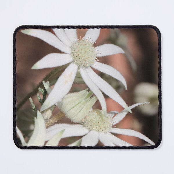 Item preview, Flannel Flower_02 designed and sold by RickLionheart.
