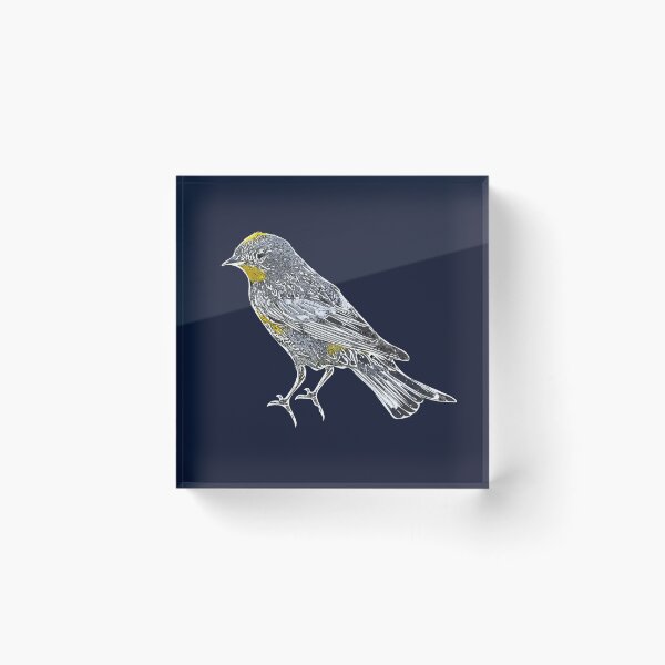 Item preview, Yellow Rumped Warbler White Alternate Design  designed and sold by designsasstultd.