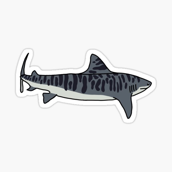 Item preview, Sand Tiger Shark designed and sold by Leapingdoe.