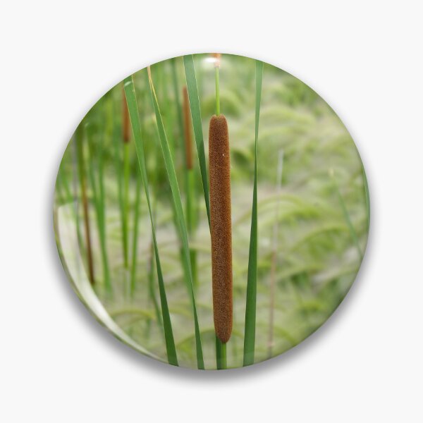 Item preview, Southern Cattail Growing in Foxtail Grass designed and sold by The Botanical Jason.