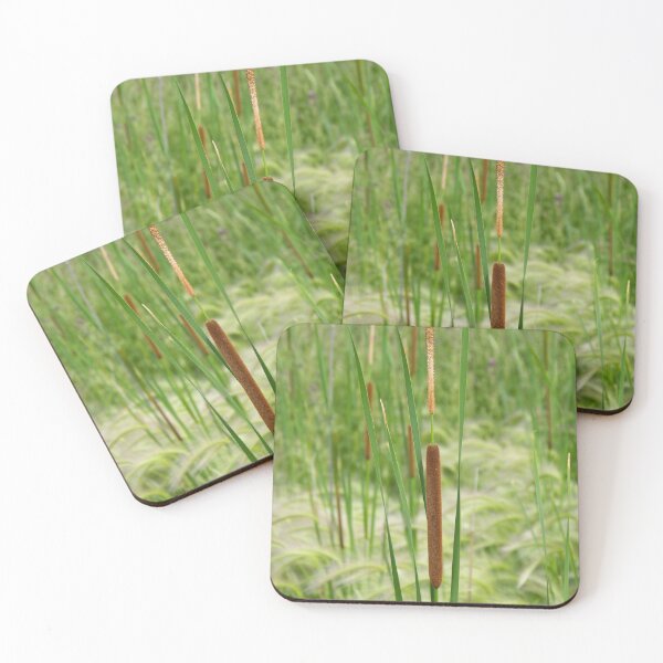 Item preview, Southern Cattail Growing in Foxtail Grass designed and sold by The Botanical Jason.