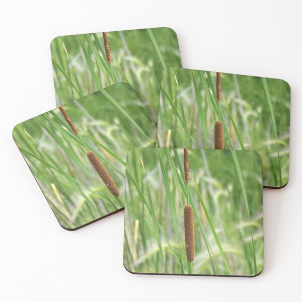 Item preview, Southern Cattail Growing in Foxtail Grass designed and sold by The Botanical Jason.