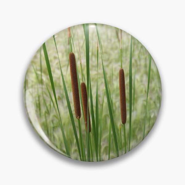 Item preview, Southern Cattail Growing in Foxtail Grass designed and sold by The Botanical Jason.