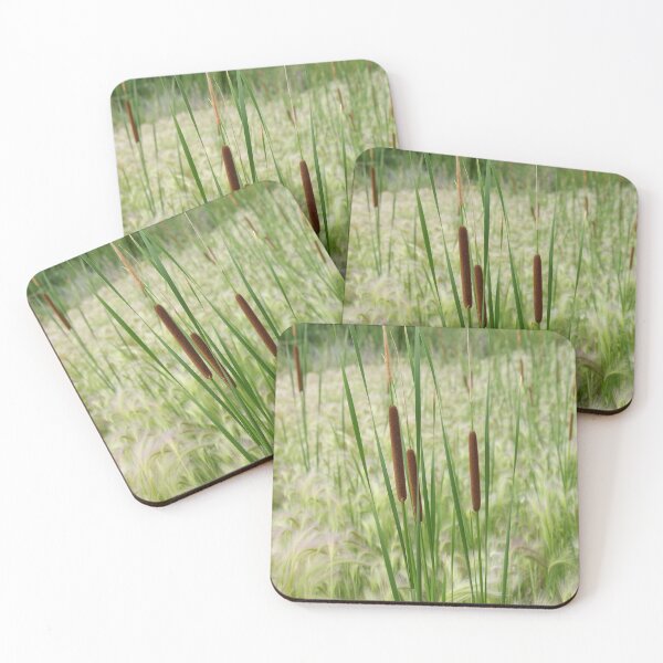 Item preview, Southern Cattail Growing in Foxtail Grass designed and sold by The Botanical Jason.