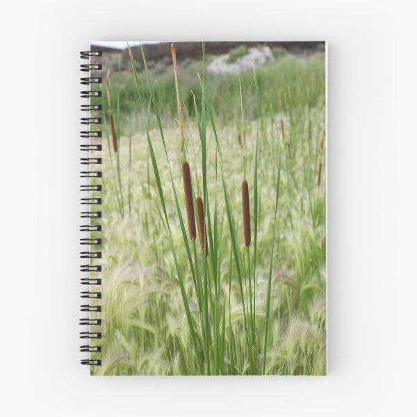 Item preview, Southern Cattail Growing in Foxtail Grass designed and sold by The Botanical Jason.