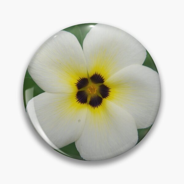 Item preview, Sulphur Alder Flower in Ubud, Bali, Indonesia designed and sold by The Botanical Jason.