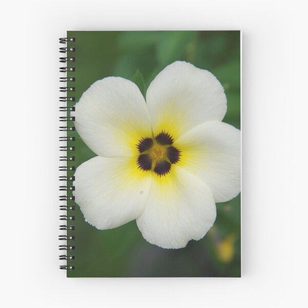 Item preview, Sulphur Alder Flower in Ubud, Bali, Indonesia designed and sold by The Botanical Jason.