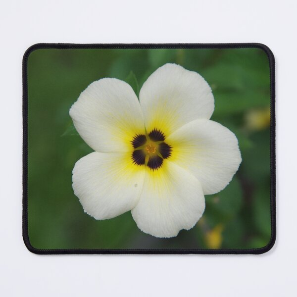 Item preview, Sulphur Alder Flower in Ubud, Bali, Indonesia designed and sold by The Botanical Jason.