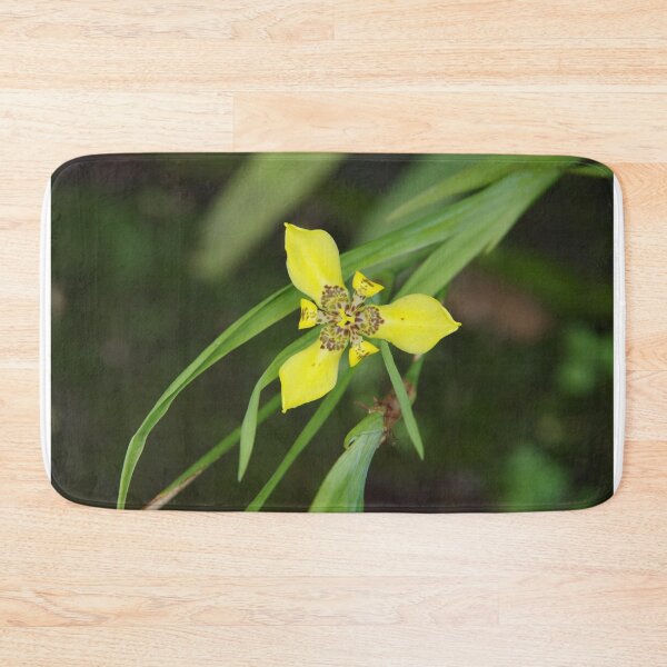 Item preview, Yellow Walking Iris in Bali, Indonesia designed and sold by The Botanical Jason.