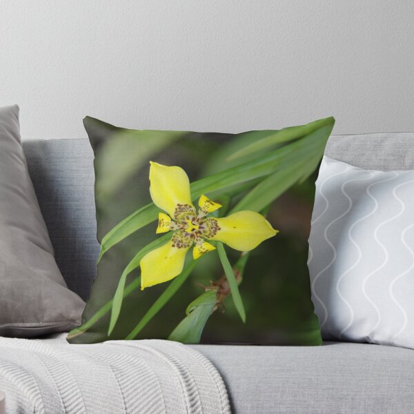 Item preview, Yellow Walking Iris in Bali, Indonesia designed and sold by The Botanical Jason.
