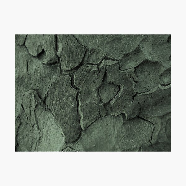 London Lime 1 Photographic Print