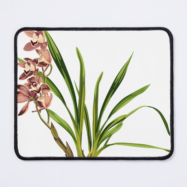 Item preview, Brown orchid Cymbidium exotic tropical flower inflorescence. designed and sold by MatyKotiv.