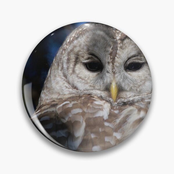 Item preview, Owl visit  designed and sold by Erin LeFevre-Josephs.