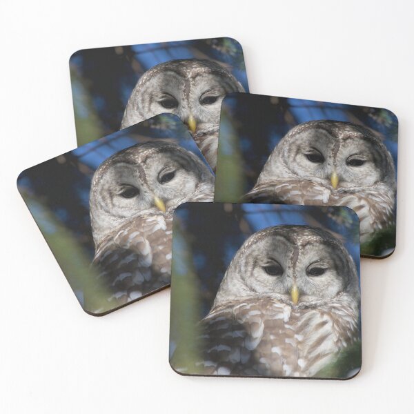 Item preview, Owl visit  designed and sold by Erin LeFevre-Josephs.