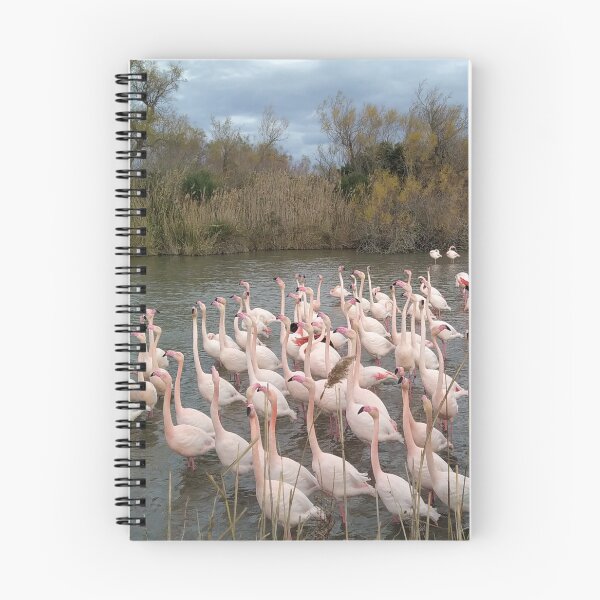 Item preview, Camargue pink flamingos designed and sold by MirelleHDB.