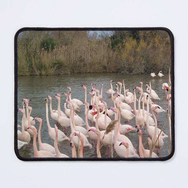 Item preview, Camargue pink flamingos designed and sold by MirelleHDB.