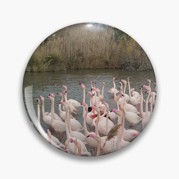Item preview, Camargue pink flamingos designed and sold by MirelleHDB.