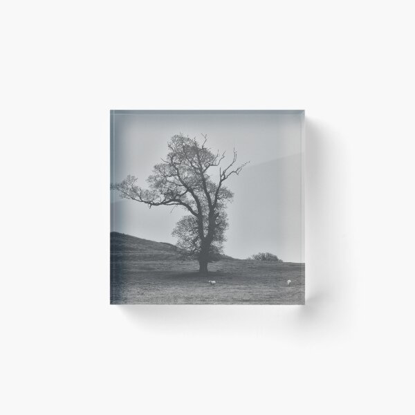 Item preview, Midwinter Tree designed and sold by ElderIslesPress.