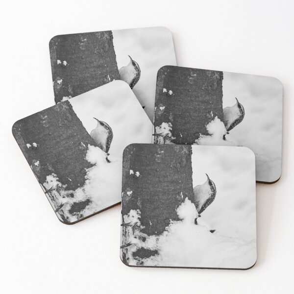 Item preview, To the Top from the Bottom. Eurasian treecreeper bw designed and sold by Jouko Lehto Photography.