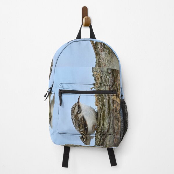 Item preview, Still for a short time. Eurasian treecreeper designed and sold by Jouko Lehto Photography.