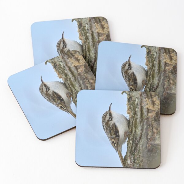 Item preview, Still for a short time. Eurasian treecreeper designed and sold by Jouko Lehto Photography.