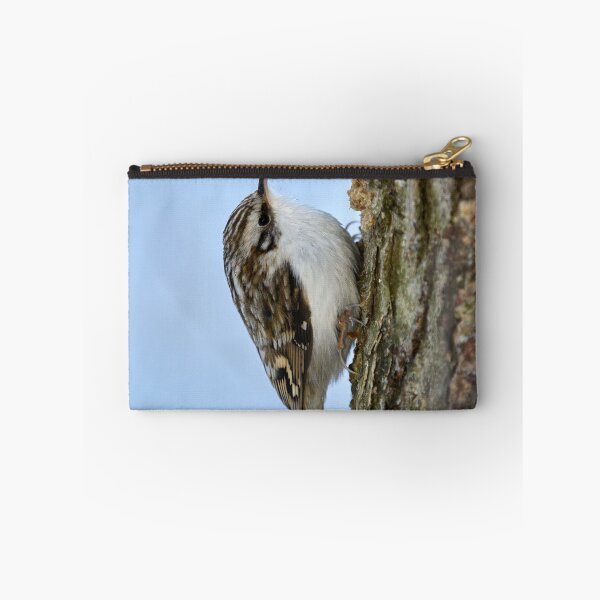 Item preview, Still for a short time. Eurasian treecreeper designed and sold by Jouko Lehto Photography.