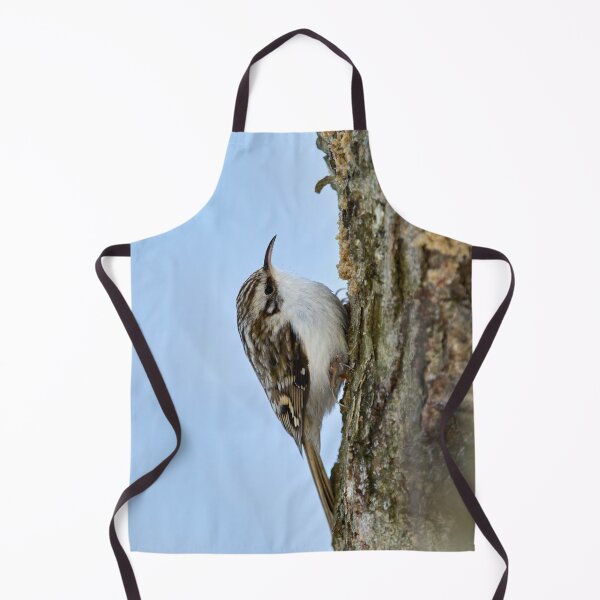 Item preview, Still for a short time. Eurasian treecreeper designed and sold by Jouko Lehto Photography.