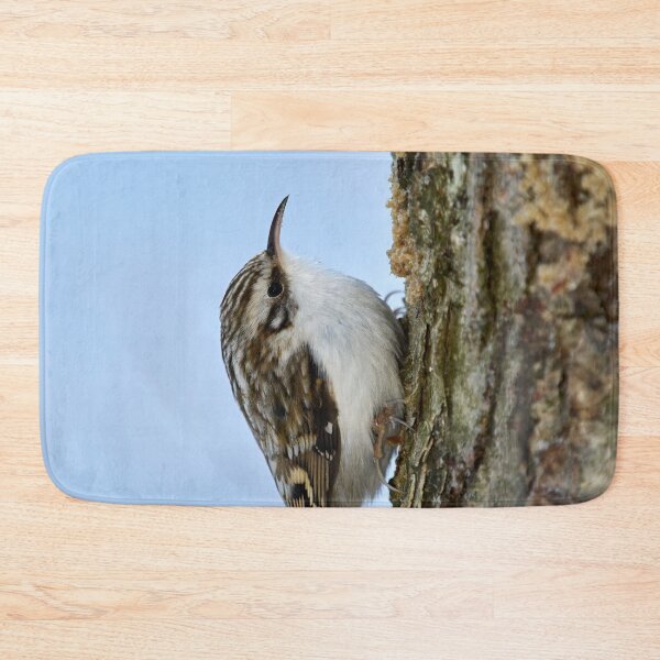 Item preview, Still for a short time. Eurasian treecreeper designed and sold by Jouko Lehto Photography.