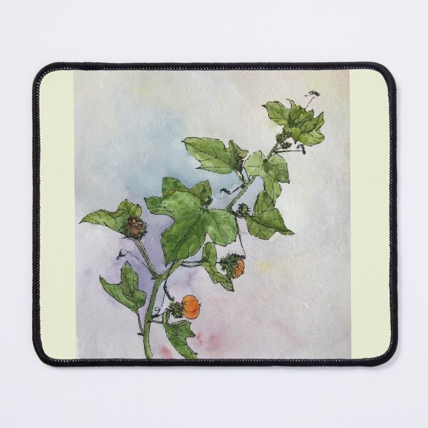 Item preview, Vietnam Botanical Plant Illustration 4 designed and sold by tuyetstudio.