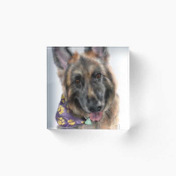Smiling German Shepherd Dog With Bandanna Acrylic Block