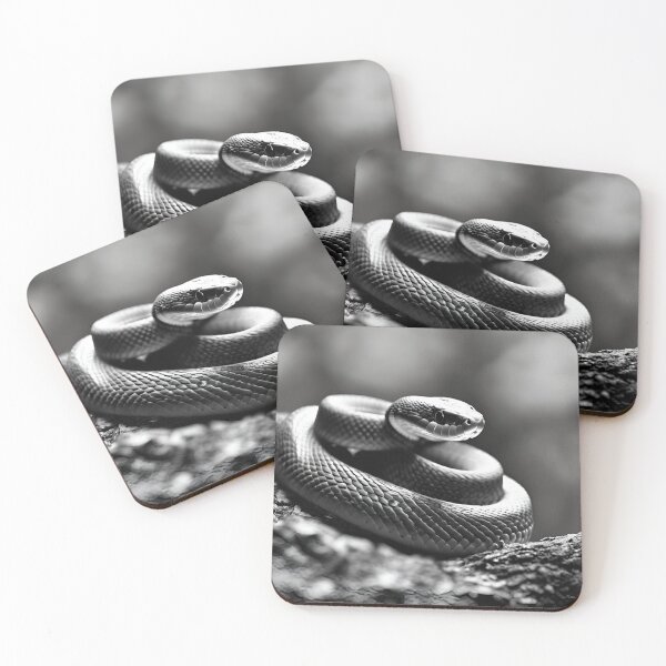 Item preview, Monochrome Snakes  designed and sold by industrialcraft.