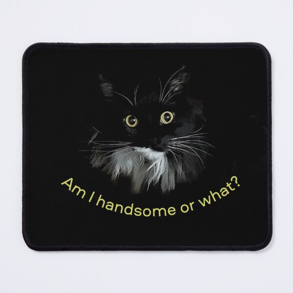 Item preview, Am I handsome or what? Mr Darcy, tuxedo cat designed and sold by Sandy Maya's Artwork.