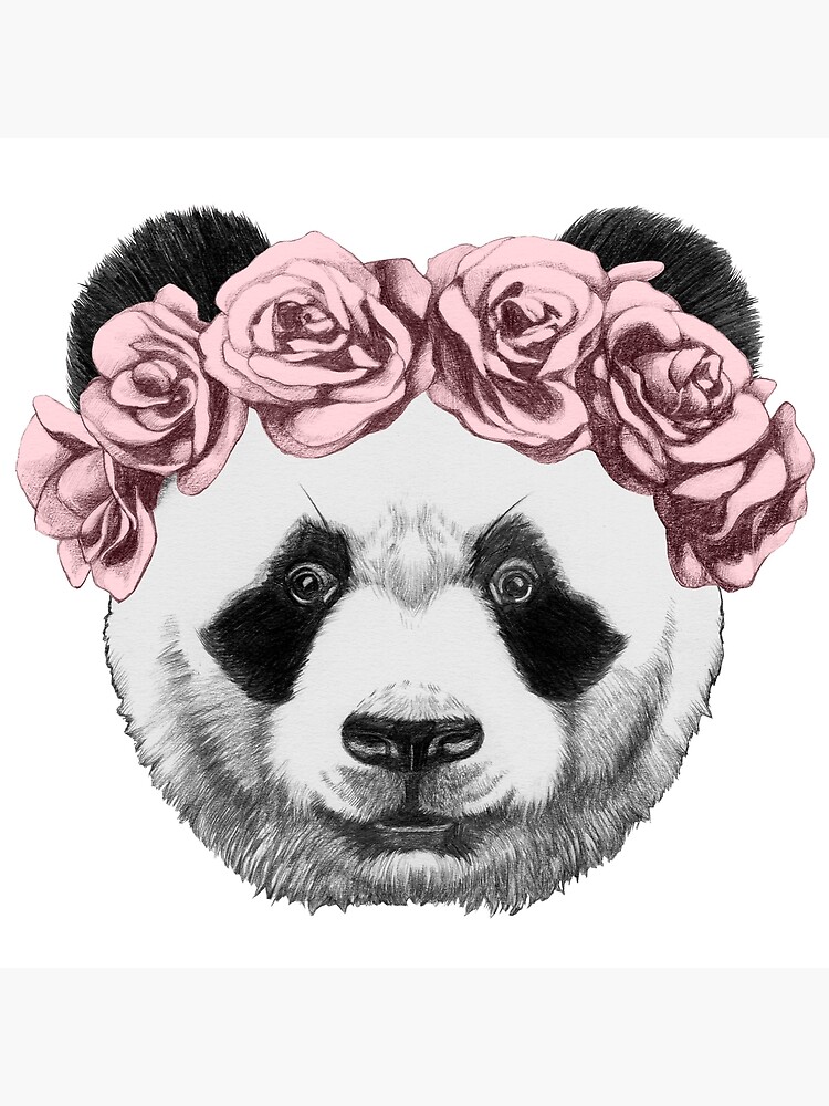 rose panda bear