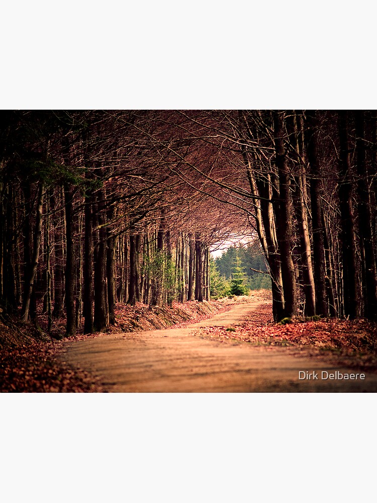 end of the road by Delbaere