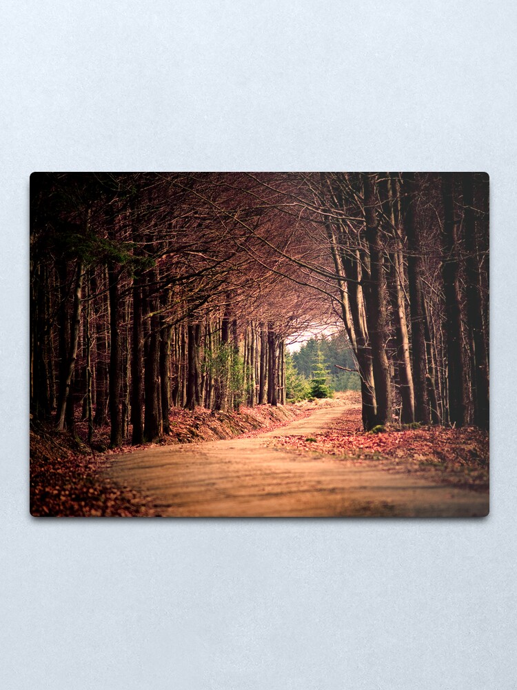 Alternate view of end of the road Metal Print