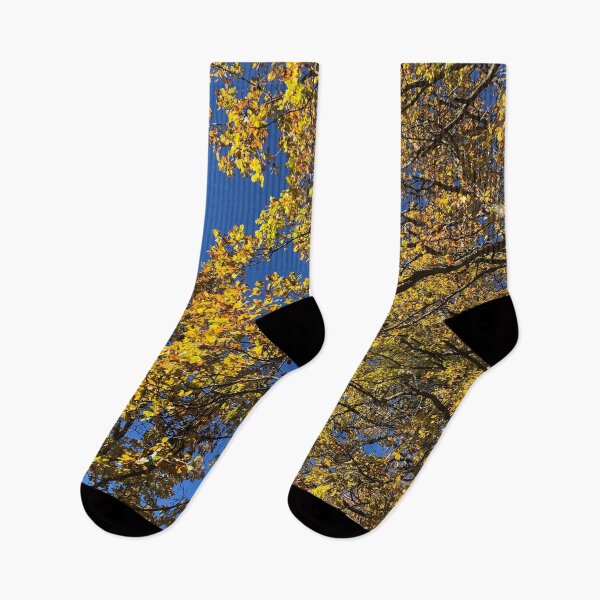Item preview, Bright Fall Warm Yellow Leaves and Blue Sky designed and sold by Quoppidou.