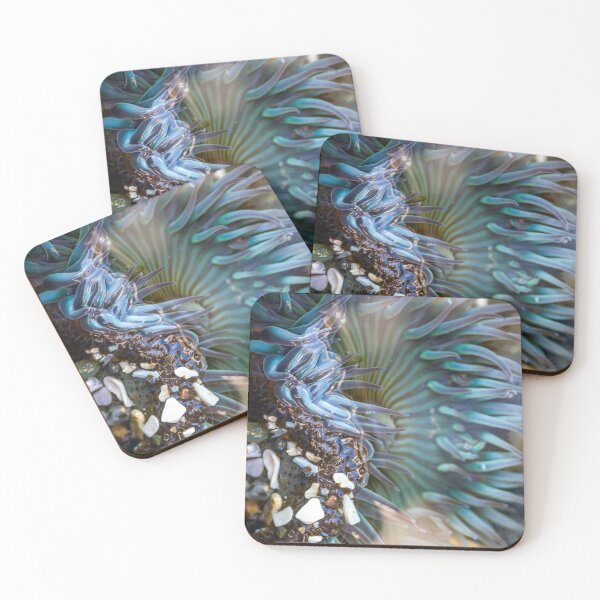 Item preview, Sea Anemone designed and sold by Kenziewenze.