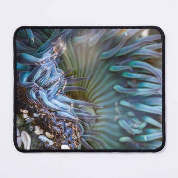 Item preview, Sea Anemone designed and sold by Kenziewenze.