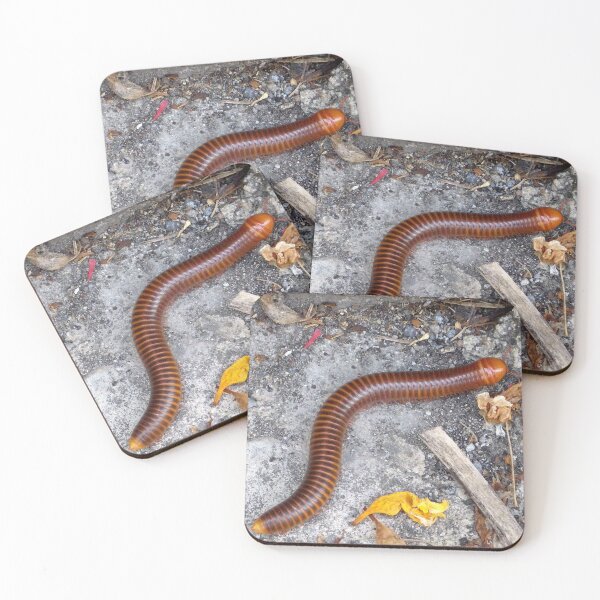 Item preview, Rusty Millipede in Bangkok Thailand designed and sold by The Botanical Jason.