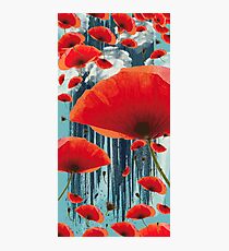 Poppy Love Photographic Print